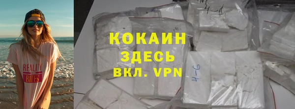 молекула духа Арсеньев
