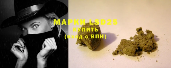 молекула духа Арсеньев
