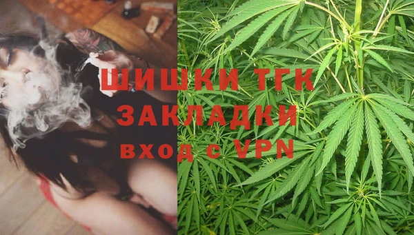 молекула духа Арсеньев